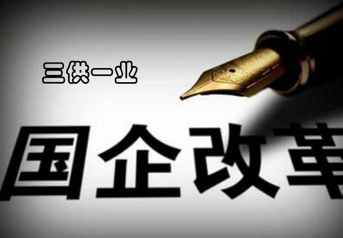 &ldquo;三供一业&rdquo;将推动光电直读远传水表发展